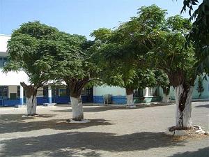 ORAN - ECOLE PAUL BERT (5)